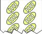 Telscape tactile stair symbols (Pad of 10)